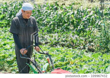 Farmer's Asian man plowing a field with a small tractor (agriculture/country life) 109967432