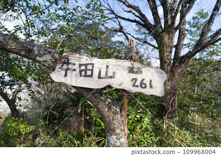 牛田山山頂(牛田山橫貫路線) 牛田山山頂(牛田山橫貫路線) 109968004