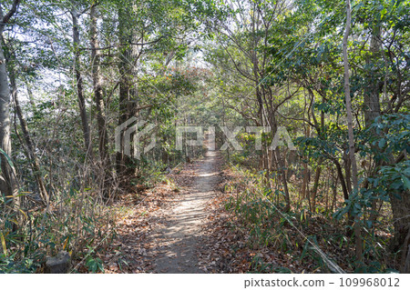 Climb trail from Mt. Kanda to Mt. Ushida (Mt. Ushida traverse route) Climb trail from Mt. Kanda to Mt. Ushida (Mt. Ushida traverse route) 109968012