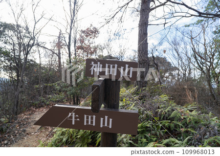 The summit of Mt. Kanda (Mt. Ushida traverse route) The summit of Mt. Kanda (Mt. Ushida traverse route) 109968013