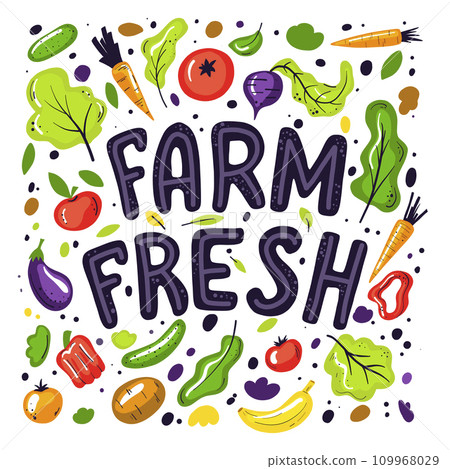 Set with hand drawn colorful doodle fruits and vegetables.Farm fresh hand drawn illustration with typography. Salads, tomatoes, carrot design elements 109968029