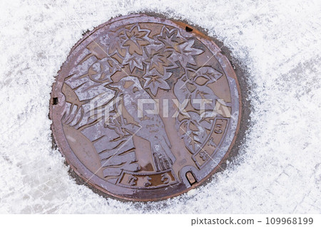 名寄市窨井蓋 109968199