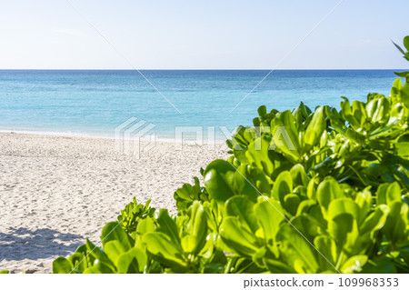 沖繩縣名護市部瀨名海洋公園的白色沙灘和藍色大海 109968353