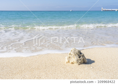 White sand beach and blue sea of Busena Marine Park, washed up coral, Nago City, Okinawa Prefecture White sand beach and blue sea of Busena Marine Park, washed up coral, Nago City, Okinawa Prefecture 109968422