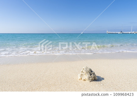White sand beach and blue sea of Busena Marine Park, washed up coral, Nago City, Okinawa Prefecture 109968423