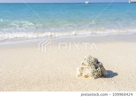 White sand beach and blue sea of Busena Marine Park, washed up coral, Nago City, Okinawa Prefecture 109968424
