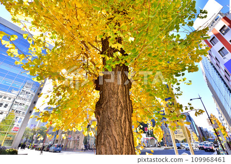 Oyafuko Street Tenjin, Chuo-ku, Fukuoka City 109968461