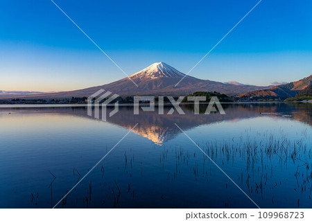 [Mt. Fuji material] Mt. Fuji seen from Lake Kawaguchi in the morning [Yamanashi Prefecture] 109968723