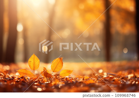 Autumn beech leaves decorate a beautiful nature bokeh background with forest ground Generative AI Autumn beech leaves decorate a beautiful nature bokeh background with forest ground Generative AI 109968746