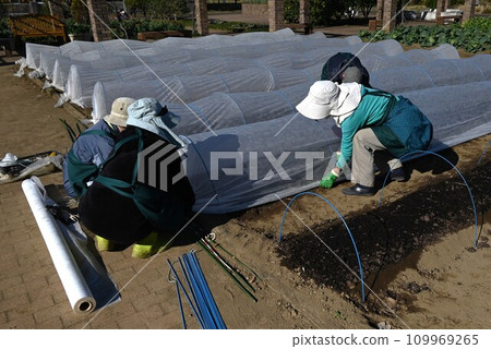 菜園的多層覆蓋、覆蓋、寒冷天氣保護 109969265