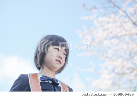 盛開的櫻花下背著書包的女孩 盛開的櫻花下背著書包的女孩 109969489