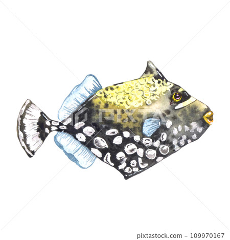 Yellow fish with textures dots. Watercolor illustration isolated on white 109970167