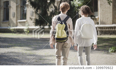 Multiethnic friends walking to classes together, school friendship, socializing Multiethnic friends walking to classes together, school friendship, socializing 109970922
