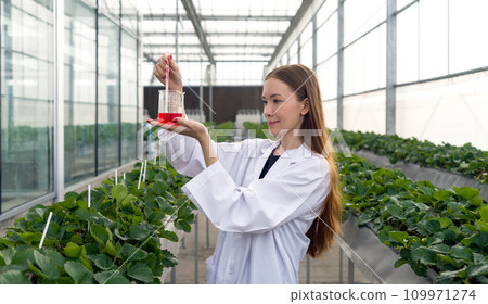 A female scientist examines a clear chemical in beaker carefully inside a bright, plant-filled greenhouse. A female scientist examines a clear chemical in beaker carefully inside a bright, plant-filled greenhouse. 109971274