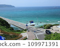 你可以看到大海的道路 109971391
