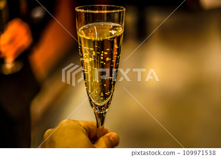 起泡酒的形象 109971538
