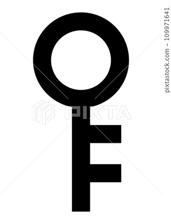 simple key icon 109971641