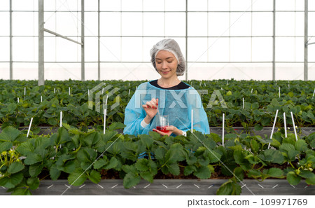 A smiling female fruit researcher is joyfully holding beaker with red chemical in her hands, standing inside a lush, green greenhouse. 109971769