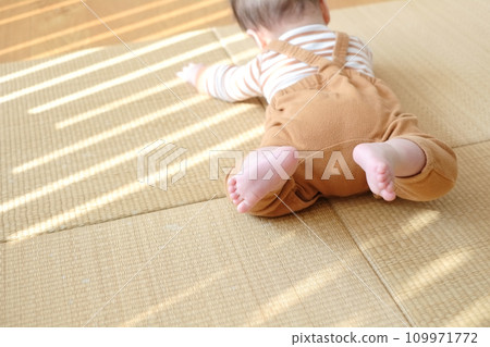 寶寶趴在榻榻米上玩耍 109971772
