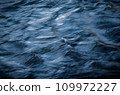 dark abstract background of river surface 109972227