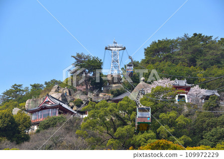 春光寺山 109972229