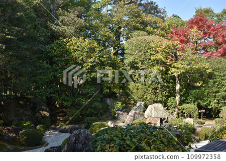 Myoshinji Temple, Taizoin, Motonobu Garden [National Scenic Place and Historic Site Garden] 109972358