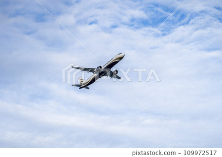 沖繩縣那霸瀨長島的風景，客機起飛 109972517