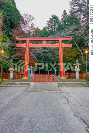 Autumn morning, quiet Katori Shrine second torii (Katori City, Chiba Prefecture) 109972855