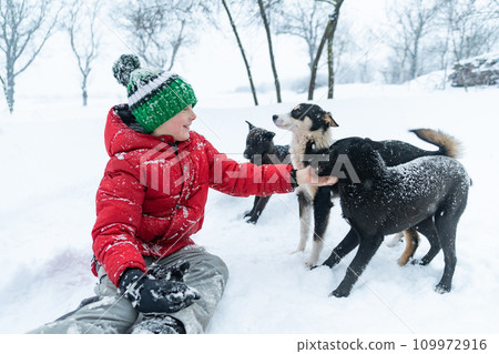 Teenage boy plays with pets dogs in winter park. Boy in knitted hat sits in the snow and caress mongrel dog. Teenage boy plays with pets dogs in winter park. Boy in knitted hat sits in the snow and caress mongrel dog. 109972916