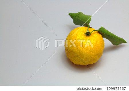 白色背景有葉狀的柚子果 白色背景有葉狀的柚子果 109973367