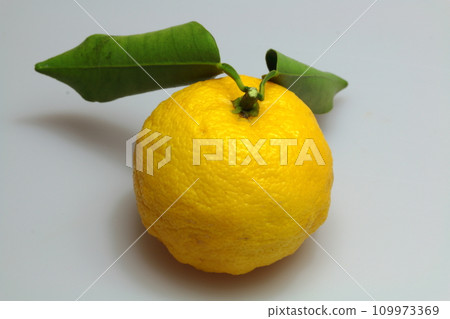 白色背景有葉狀的柚子果 白色背景有葉狀的柚子果 109973369