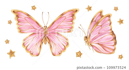 Butterfly Set Watercolor illustration. Hand drawn clip art on white isolated background. Drawing of insect with pink and gold wings. Painting of flying moth for baby birthday decorations 109973524