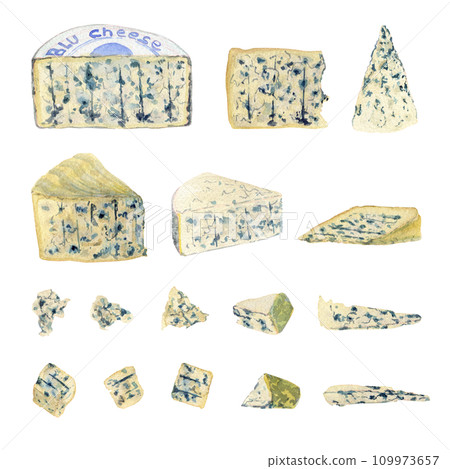 Various varieties of blue cheese, heads and pieces. Clipart. Watercolor, hand drawn art illustration isolated. For cards, handmade textiles, prints, menus, posters. 109973657