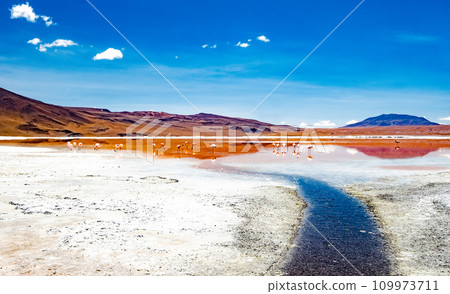 bolivian desert landscape with flamingos bolivian desert landscape with flamingos 109973711