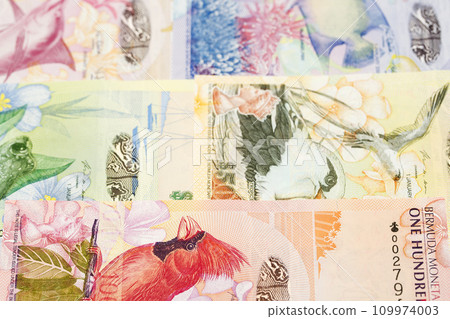 Bermudian dollar a business background 109974003