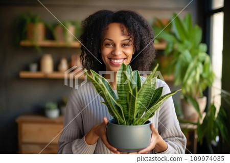 Woman taking care about houseplant and holding pot of Sansevieria houseplant. Home gardening, Plant care 109974085