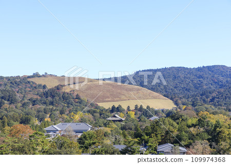 Nara City, Nara Prefecture, Todaiji Temple precincts and Mt. Wakakusa in autumn, view from the Nara Prefectural Office 109974368
