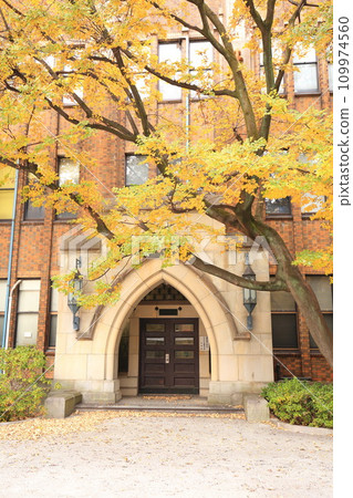 東京大學秋葉 109974560