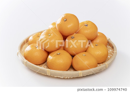 甜薩摩柑橘 109974740