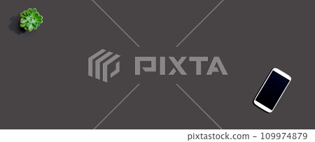 Smartphone with a succulent plant 109974879