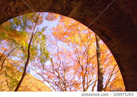 [Aichi Prefecture] Around Aiki Tunnel Group in Kasugai City 109975265