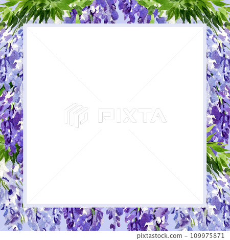 watercolor white square frame with branch of wisteria blossom flowers, hand drawn illustration with spring lilac flowers, blue plant on violet flowers background 109975871