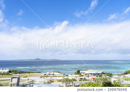 Scenery of National Okinawa Memorial Park Ocean Expo Park, Motobu Town, Okinawa Prefecture 109976048