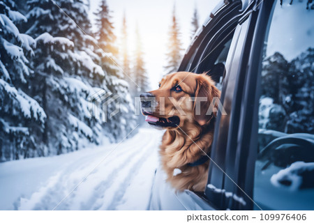 AI 生成的圖像：冬季週末，一隻狗在車裡看著雪路 109976406