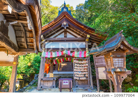 Katayama Miko Shrine Main Hall, Kamigamo Honzan, Kita Ward, Kyoto City (Important Cultural Property) Katayama Miko Shrine Main Hall, Kamigamo Honzan, Kita Ward, Kyoto City (Important Cultural Property) 109977004