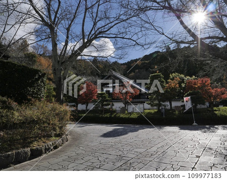 Okudono Jinya in Okazaki City, Aichi Prefecture in autumn 109977183