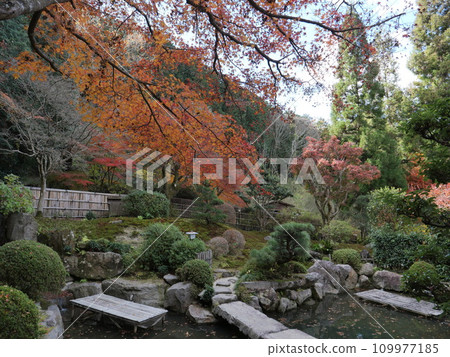 Okudono Jinya in Okazaki City, Aichi Prefecture in autumn Okudono Jinya in Okazaki City, Aichi Prefecture in autumn 109977185