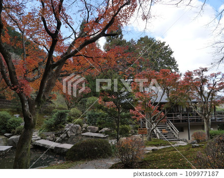 Okudono Jinya in Okazaki City, Aichi Prefecture in autumn Okudono Jinya in Okazaki City, Aichi Prefecture in autumn 109977187