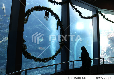 "Shimoda Undersea Aquarium" located in Shimoda City, Shizuoka Prefecture 109977248