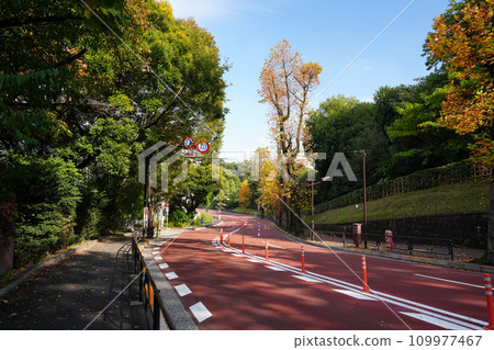 安鎮坂，東京 23 區的斜坡 109977467